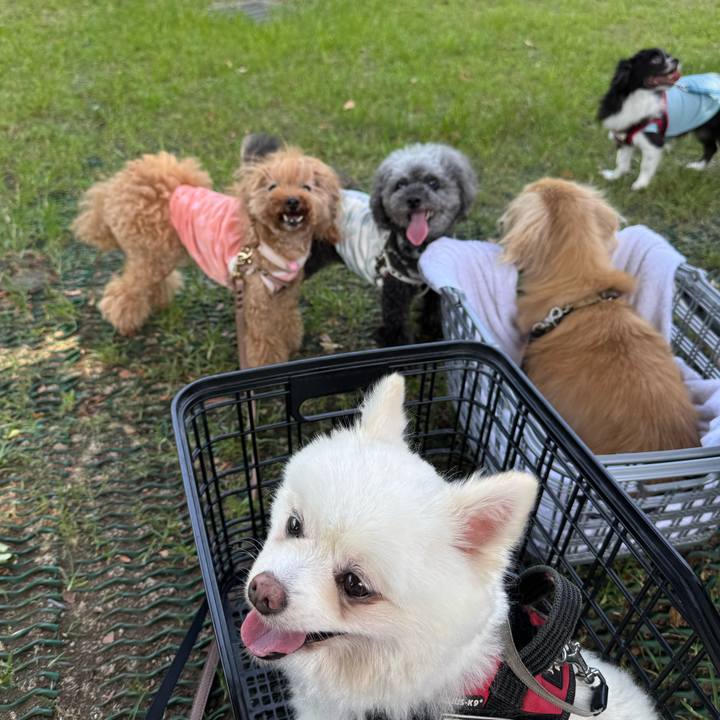 C805be54 d4e3 42ef a292 14aef34c0ad2 1754435265665