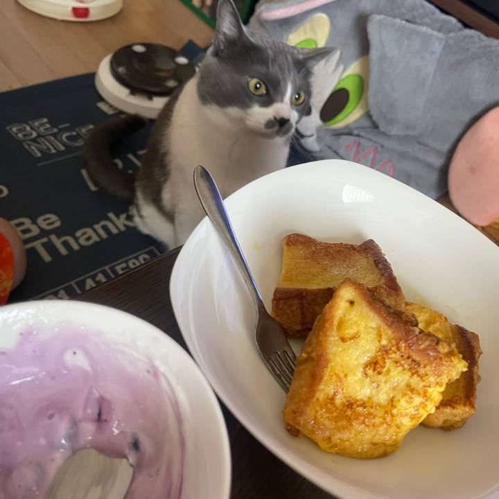 C805c1bb 58f6 4d86 8edd 2e8eac0e47a2 1745187984803