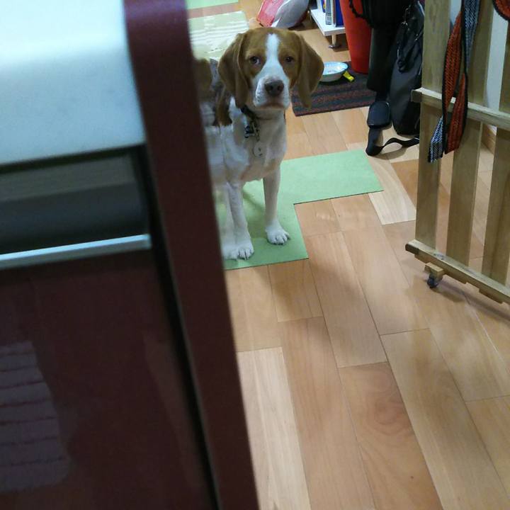 C805c2c2 c7e7 46b3 aa86 d35a02acd639 1509871479572