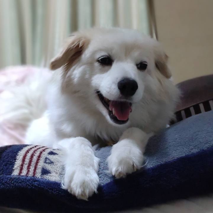 C8061170 8bec 48c1 8a79 1e3c65acce8d 1650753941833