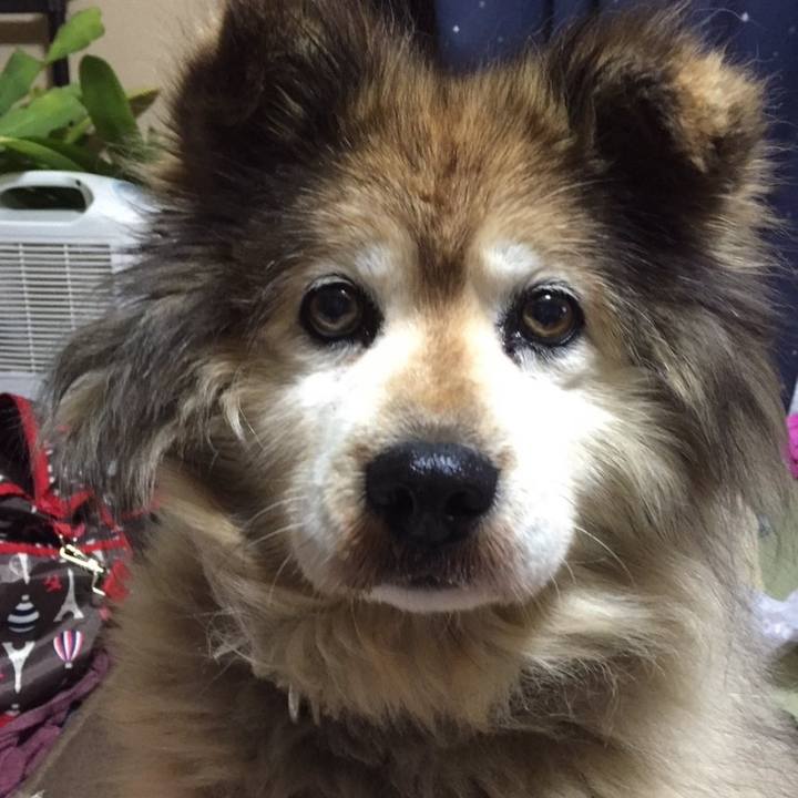 C8062a05 1779 41a3 b6b0 5d61abed1136 1570878132458