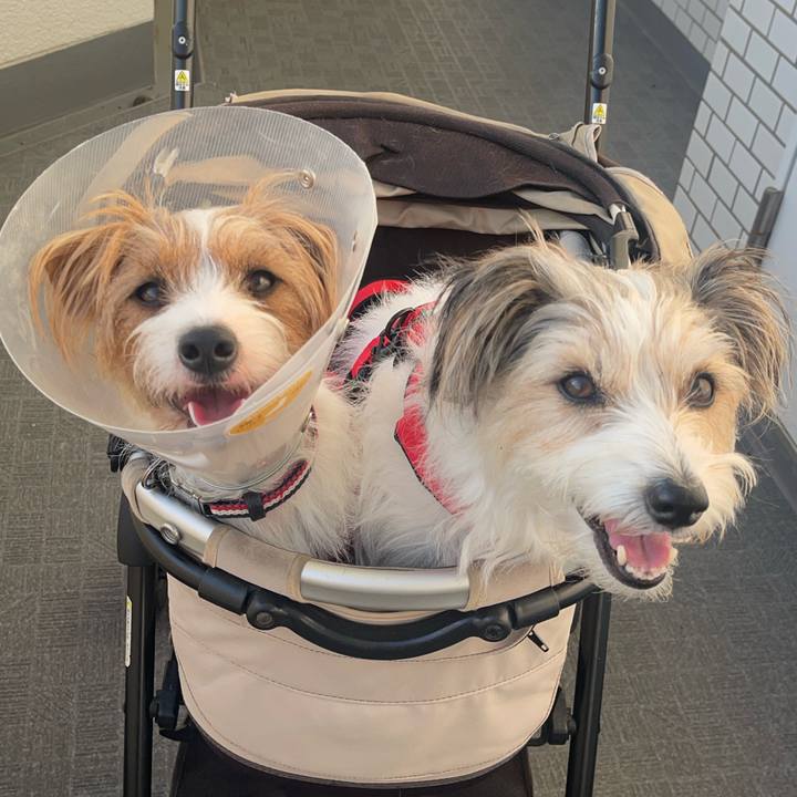 C80646c8 82d1 4050 b9de 8721605400f5 1758961096807