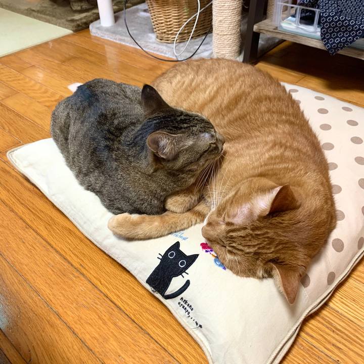 C8065d3d 9cac 4cd2 99ce 735f8fab367a 1591764952275