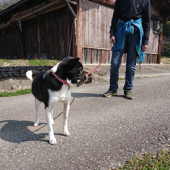 C80660a0 a2eb 4cd9 b9db 56a96ced49fd 1522057678775