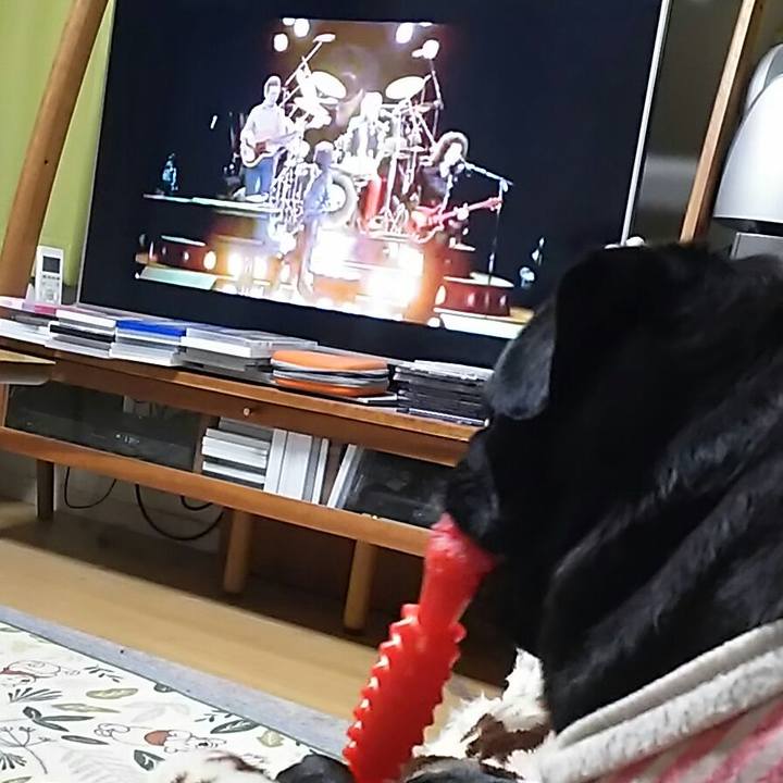 C80663e9 b4b0 4355 9880 4a7d36f23536 1549461883263