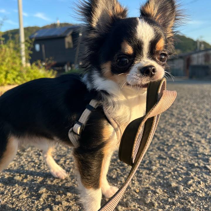 C8067089 7ed7 4cfd 8f12 69add4169870 1762054073012