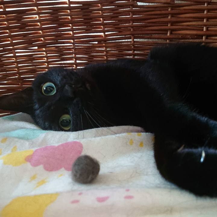 C8068673 17d3 41d2 adc1 c6651061e3b2 1598010416876