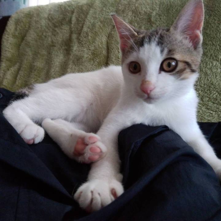 C8072cf4 47ef 4a3b 95b4 473cfd848ef8 1638000544765