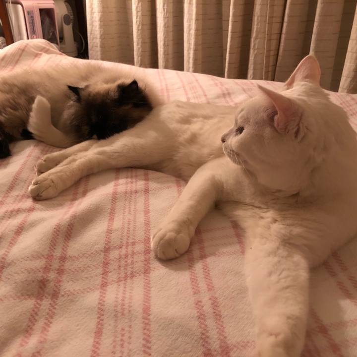 C8072edf 4596 413d 909c fbf5e013a2a1 1656511569457