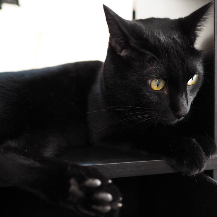 C807670c 6689 4d7d 8d60 238304a75dd7 1534603653024