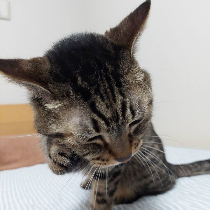 C8078bf6 9d6a 4788 9727 bf3e2d47b21c 1632873780934