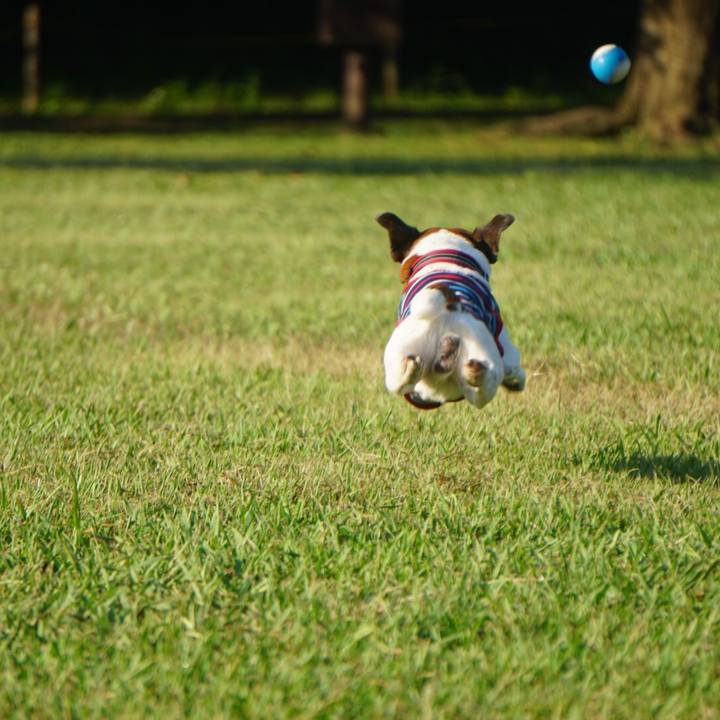 C8079453 f140 4e95 83f7 cb5630250e33 1565305099365