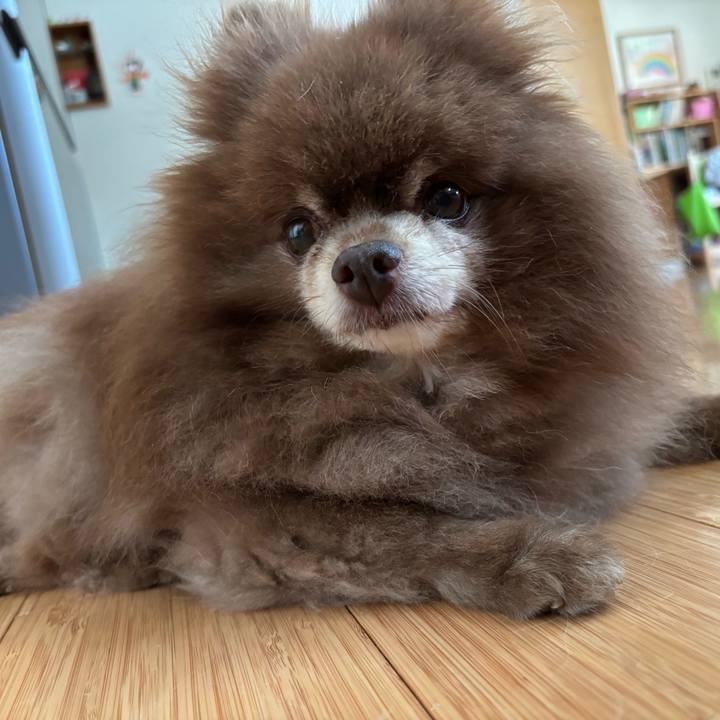 C80797da bf3d 46aa 8232 67de870b33a6 1754687025312