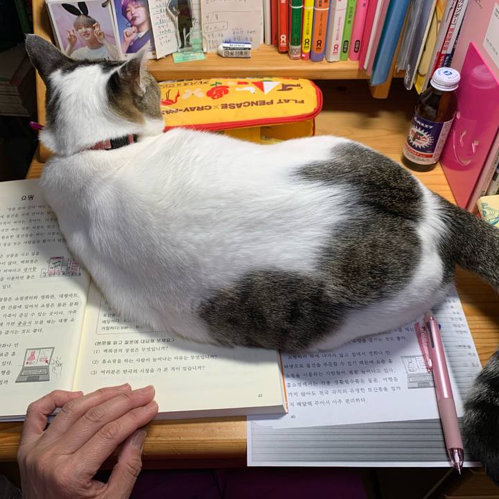 C807af2e 69d7 4fed 8c1b 71f0afb62245 1614867314502