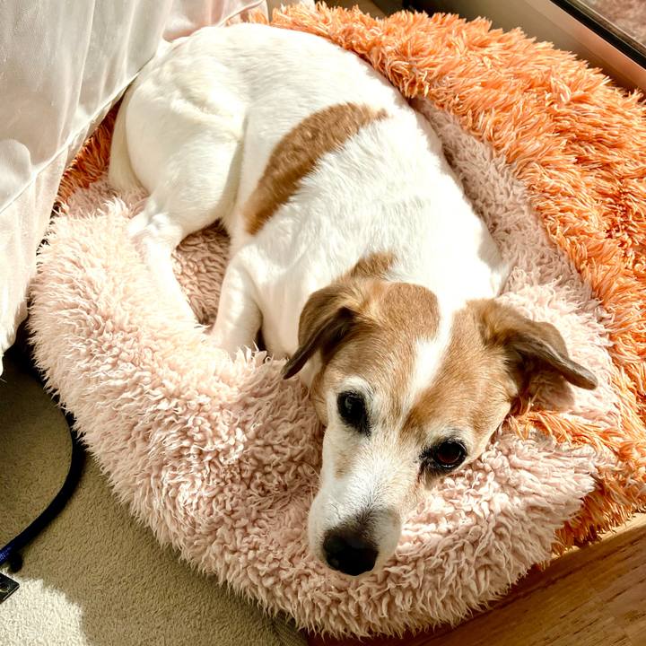 C807d47b 032f 4922 9c7e 002285f93064 1709471024711