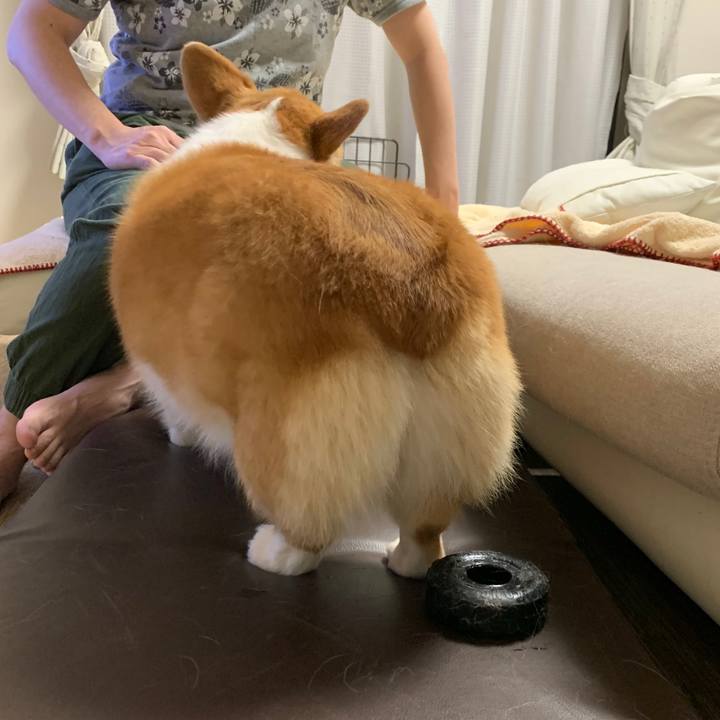 C807f758 3be6 4b17 a4bf ed1c0e5c087b 1590409452484