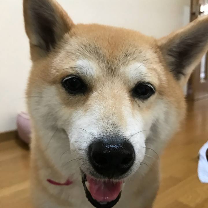 C8080852 a2f8 41db a142 5999033b56ad 1530192707215