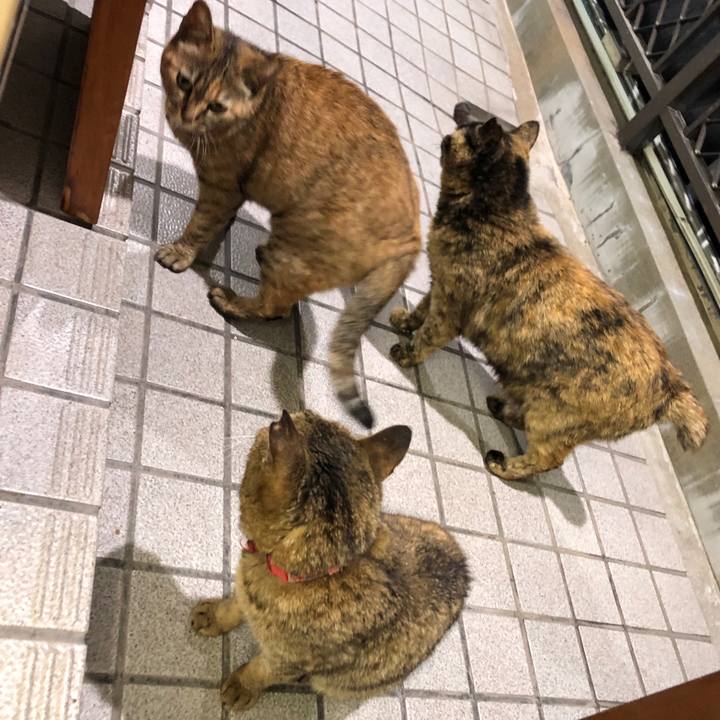 C80808d6 d7a6 445f 956a 7fdfb09dfe3c 1621602179447