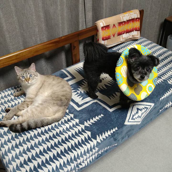 C80819fd 6585 4e99 8e44 c17bb3a94b98 1722078377529