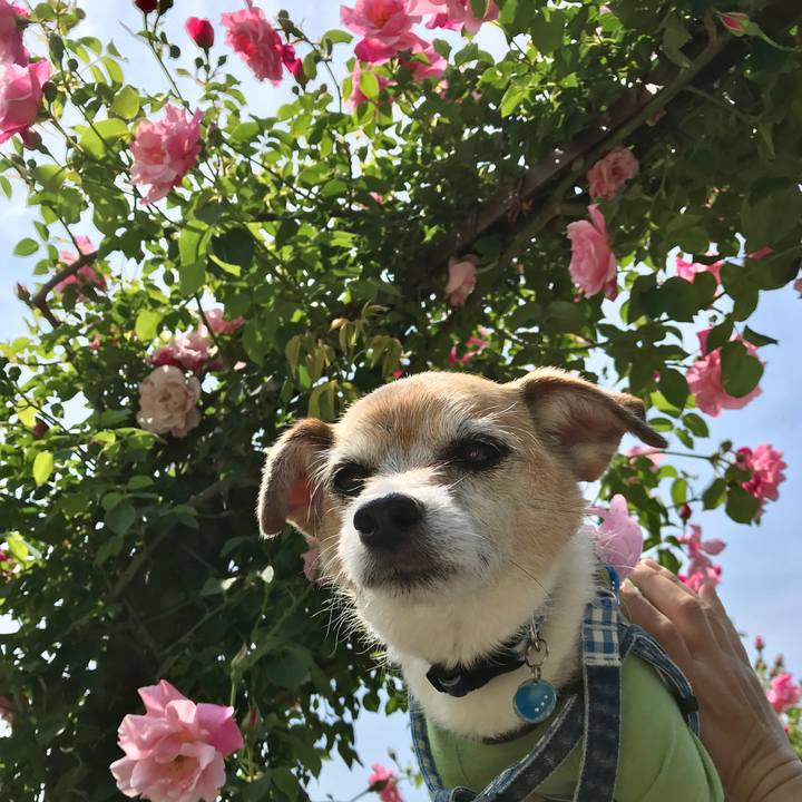 C8081d62 bfeb 4e69 84a9 d2a1356064d3 1651724736316