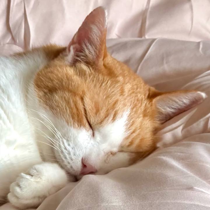 C808302f adbe 4d2d 9dd1 06ab674c2608 1697861688879