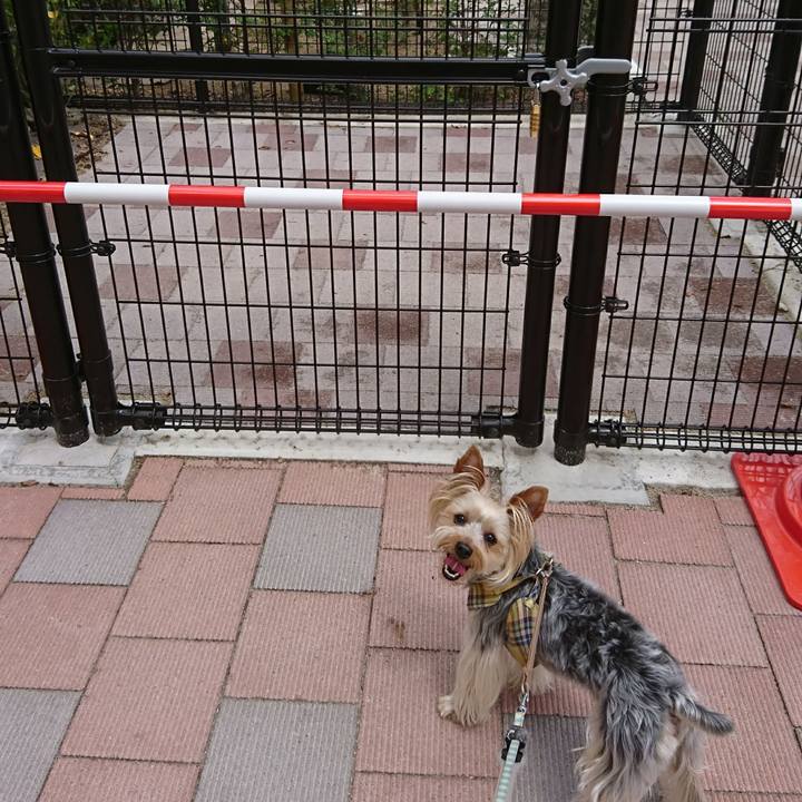 C8086c56 7a68 4212 960d d66f12b5a898 1528348111062