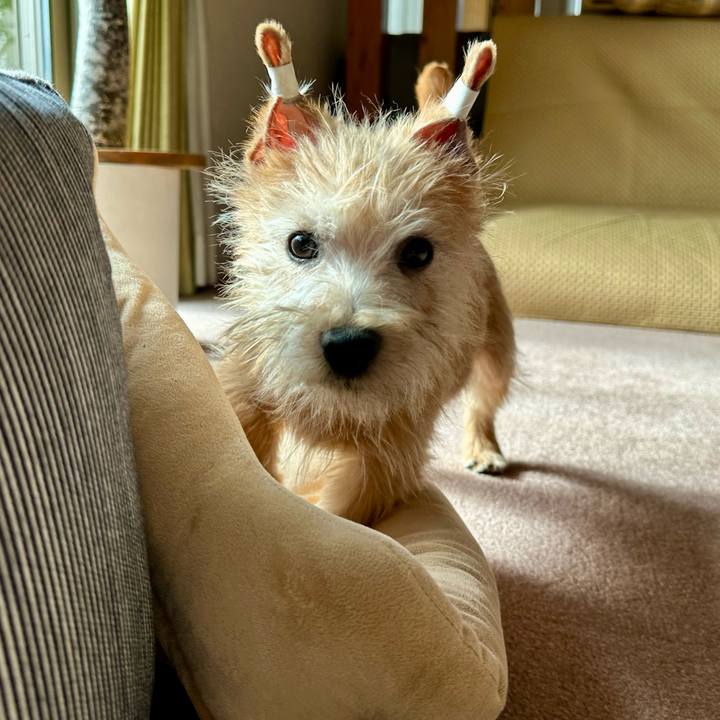 C808b653 a937 4e7d a7cf 890e36ab7f06 1705728291382