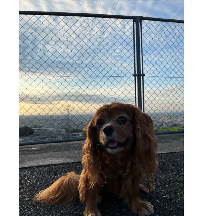 C808db49 9f0b 466f a52f 7882c0c062ed 1694302931895