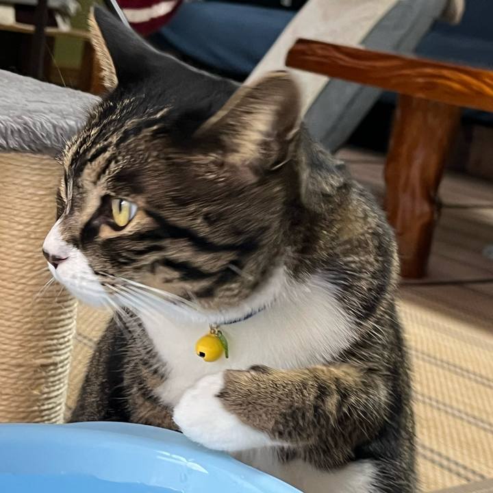 C808e79c 8382 41ba b13b 02e0a78a59fd 1762212034072