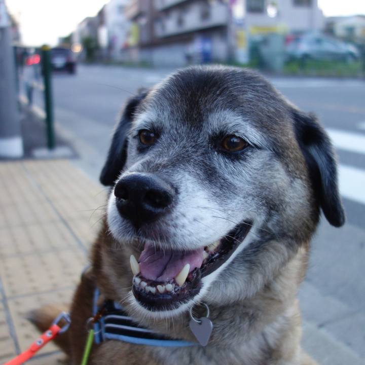 C808eba0 3162 42df b8b3 402db6bc3153 1529233010826