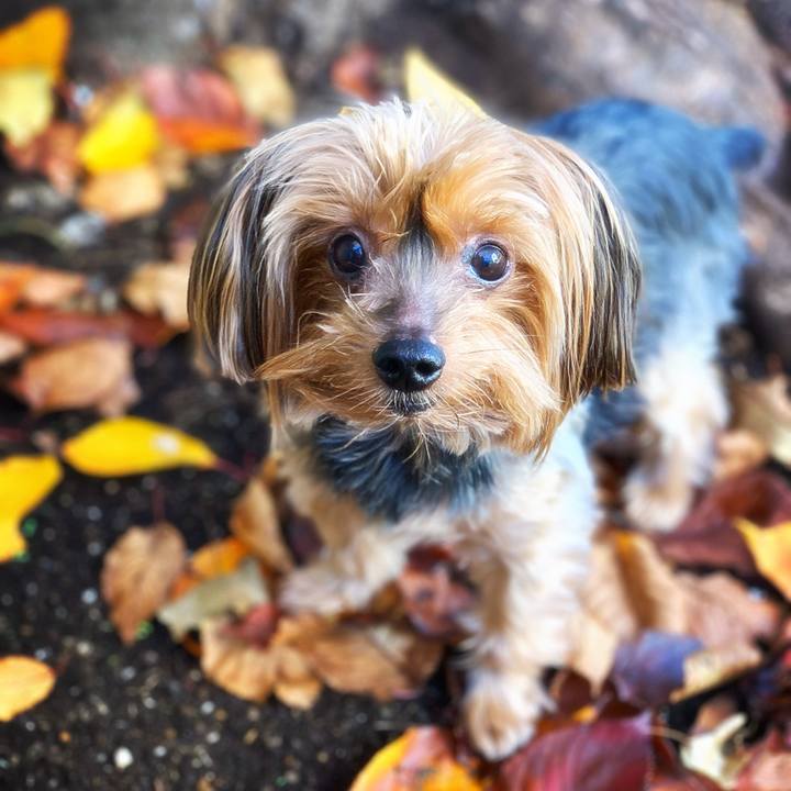 C808f0ed f6c7 45e2 b5a2 93807e71370a 1575764667324