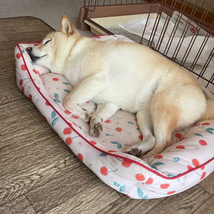 C809277a 0f04 4a57 879f 53ed7d760f31 1721525018919