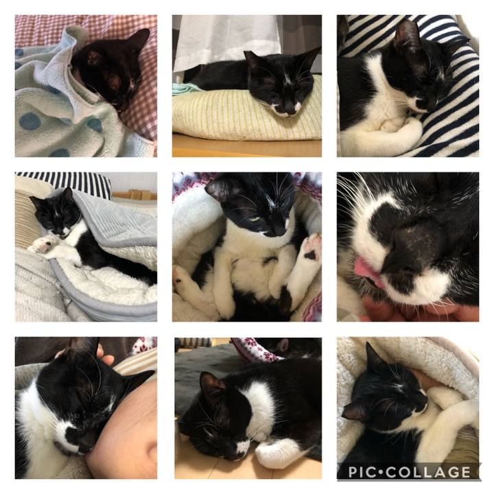 C8095824 e2af 4fc3 9b6e f683b9cc9030 1610713667338