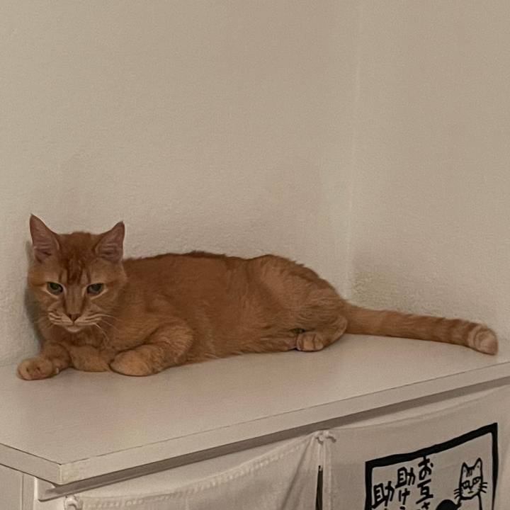 C8095937 f4f7 4a45 accd b947654448b0 1769133364541