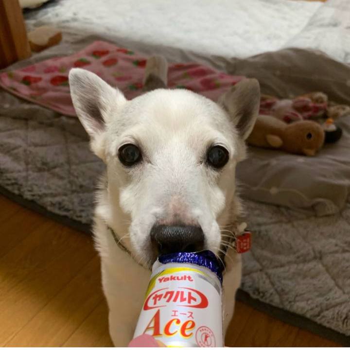 C8095dee d473 41d7 91b6 3a6c53329c7f 1771627659230