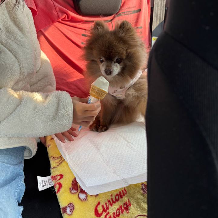 C8096010 3f62 4fcc be2e 5cdf44fafcae 1770786188961