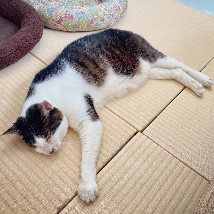 C809ae4b ecbb 459c bf56 c180facc8e03 1596173565157