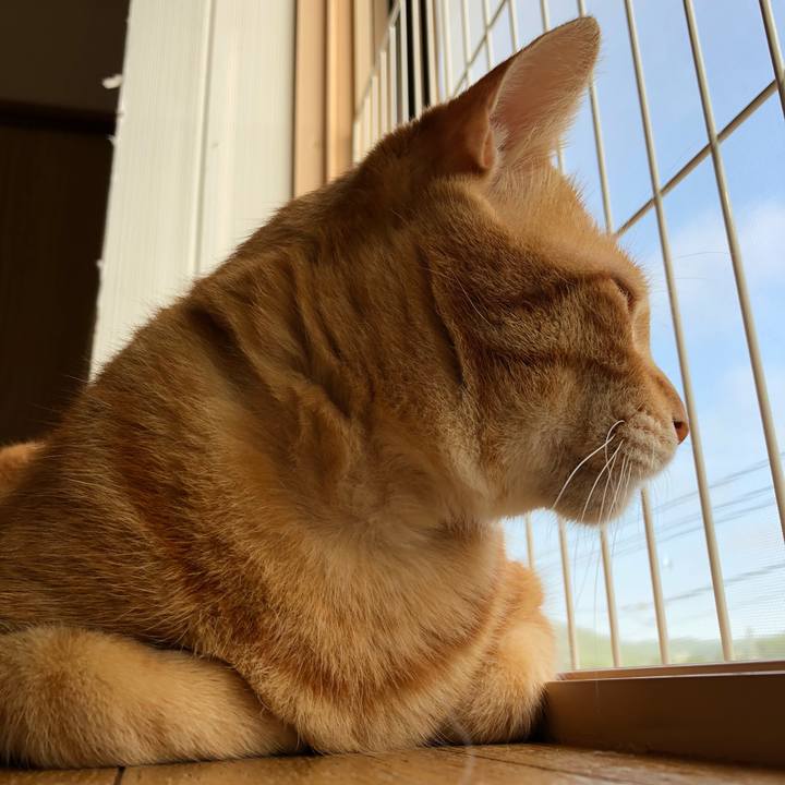 C809d2fd 2704 450b b807 debee8021f7e 1563659380624