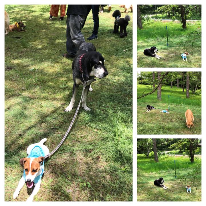 C809d4cf a105 48ec 8067 e2897efc1058 1528185324723