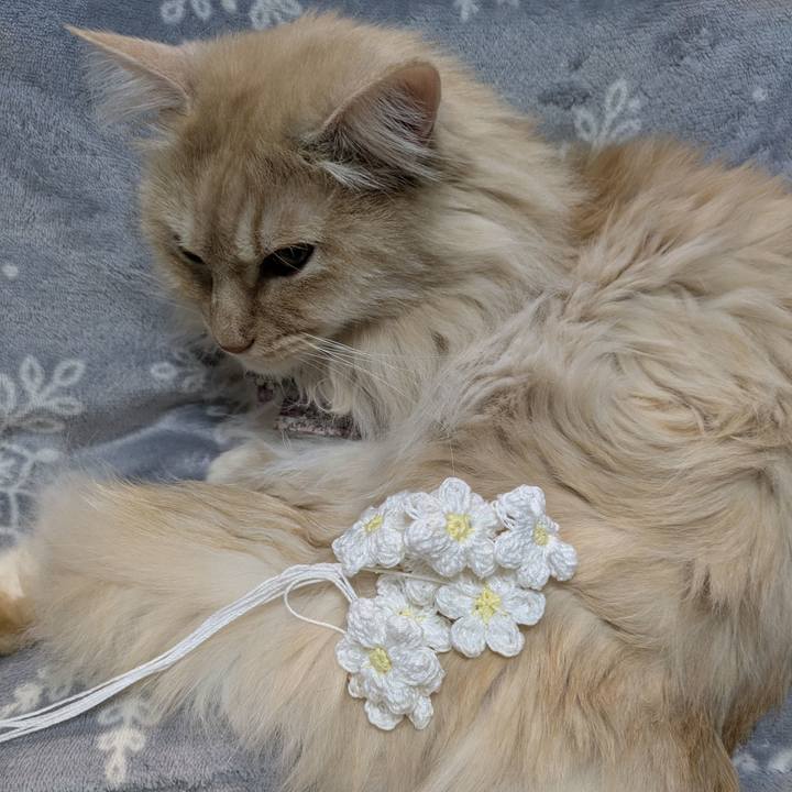 C809dda0 b4e7 4aa1 b030 22a33d9b4d4b 1771947533121