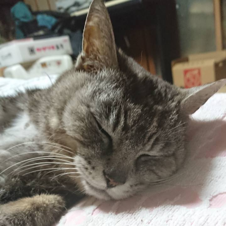 C809e471 c96a 4767 946c bb705c9a8034 1592311801755