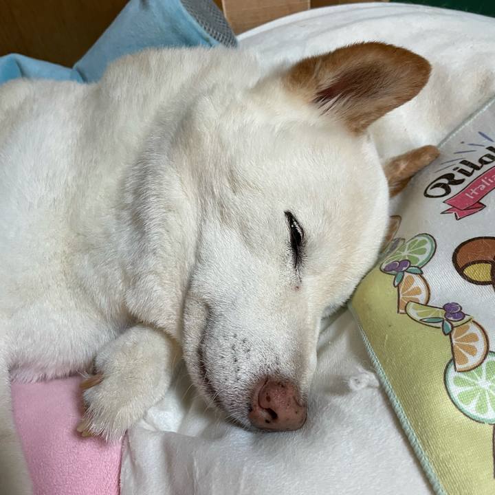 C80a041f 4c70 41af a748 edab694ec51c 1634295592918