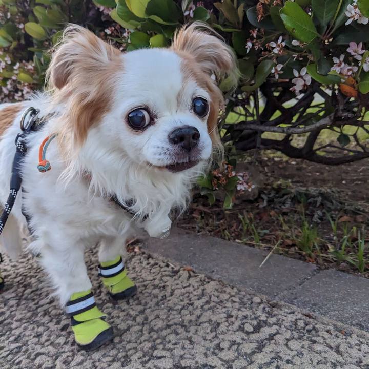 C80a5962 2b4e 4707 bb95 706ab5eb6524 1683939767936