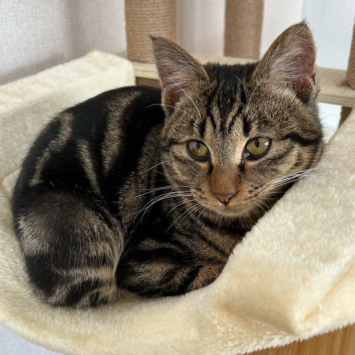 C80a82a5 ab3e 424c 84c9 b42e29a9d77e 1741477247292