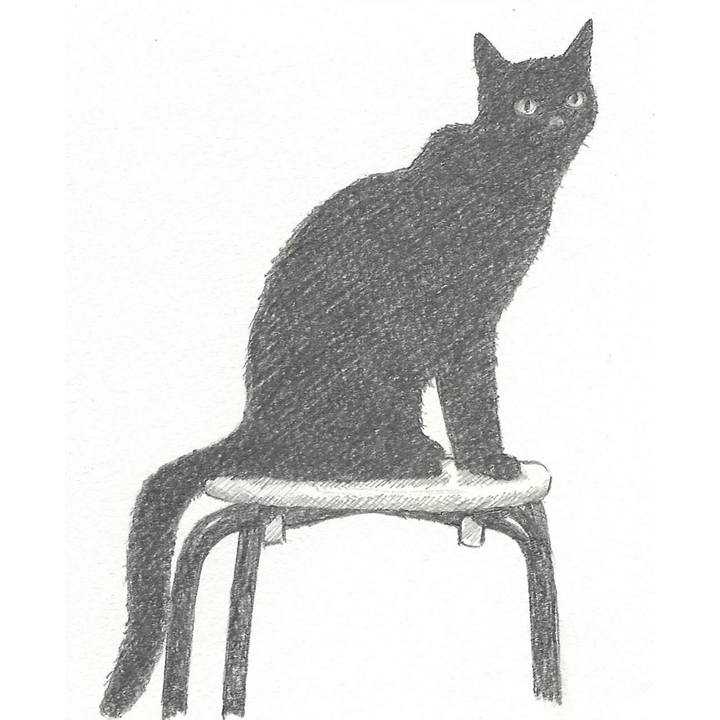 C80a8e89 5002 407d bf30 b4186371ebc1 1534204164101