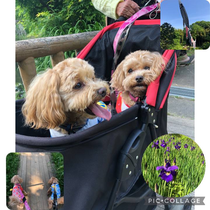 C80a9acb 9bdf 4277 a6c7 6f9bafcba1ff 1651673426420