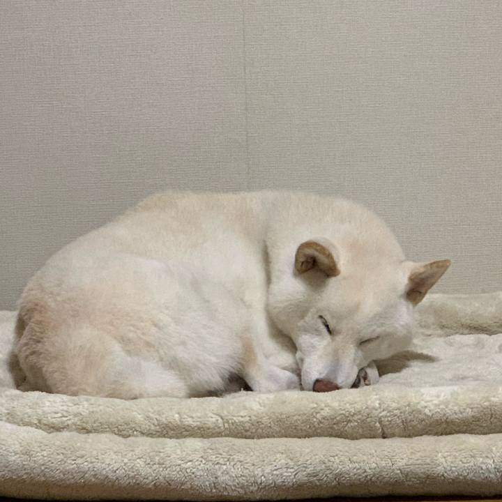 C80aca65 102d 4d17 bec2 9d75c044846a 1602142581886