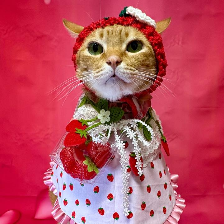 C80acfda 7a47 4afd b9b1 8d99ca54b6c3 1768343456431