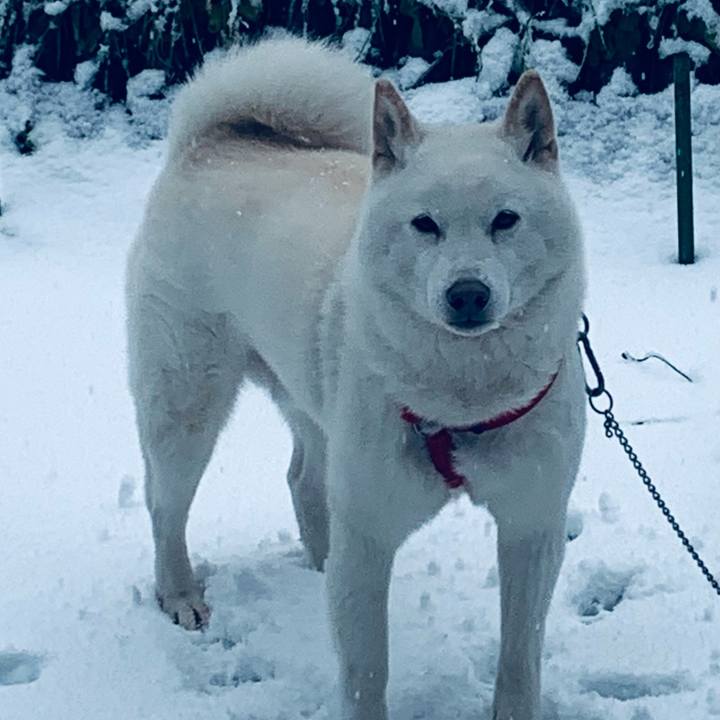 C80b07b5 43a6 499b 8478 28e6efc5c507 1606622254835