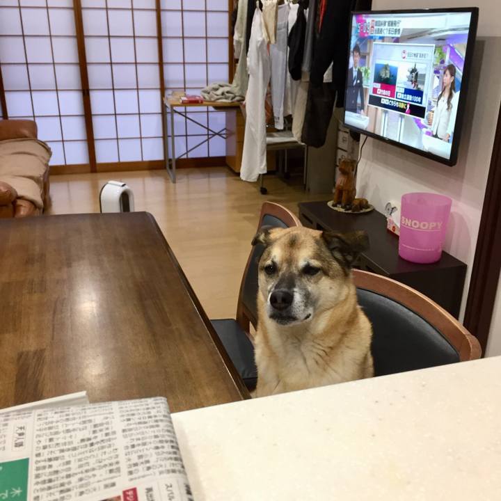 C80b1aa0 d291 4f44 93df 375beb42c5f7 1548317776138